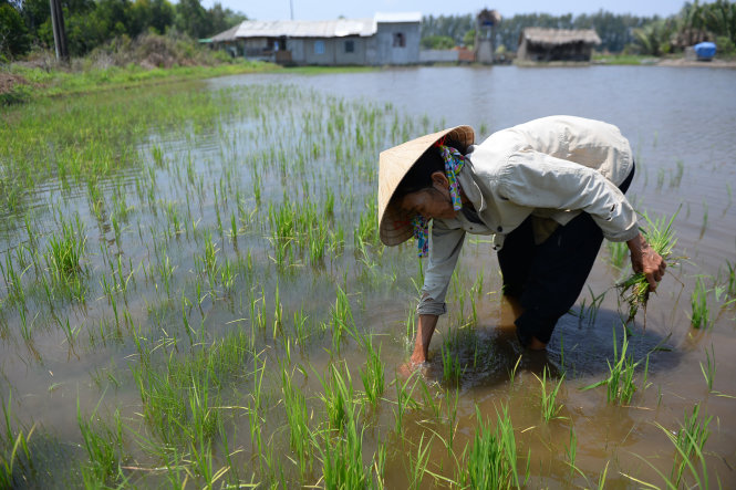 Ai[-]đã[-]làm[-]gì[-]cho[-]sông[-]Mekong?